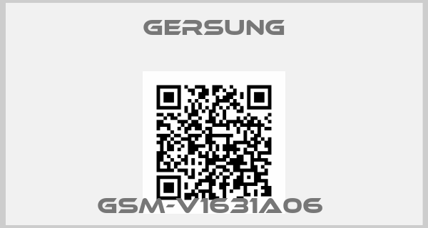 Gersung-GSM-V1631A06 
