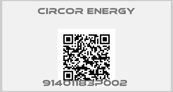 Circor Energy-91401183P002 