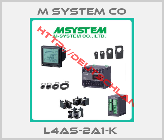 M SYSTEM CO-L4AS-2A1-K 
