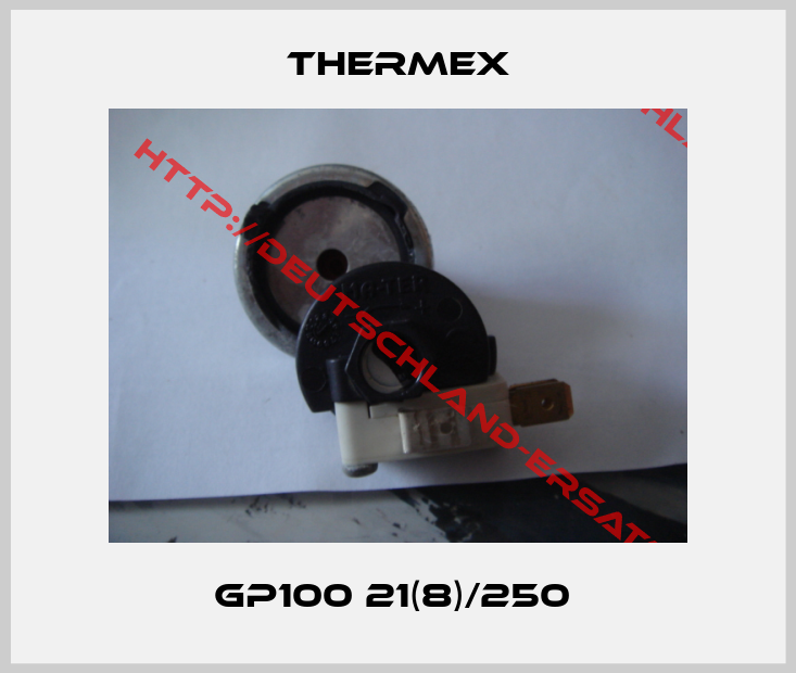 Thermex-GP100 21(8)/250 