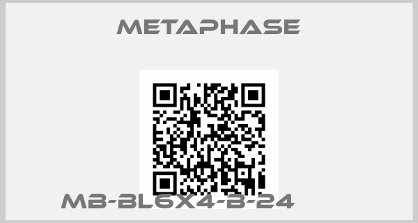 Metaphase-MB-BL6X4-B-24        