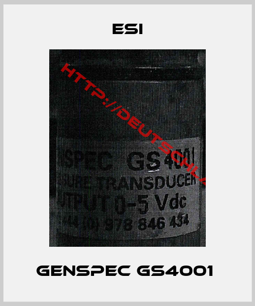ESI-GENSPEC GS4001 