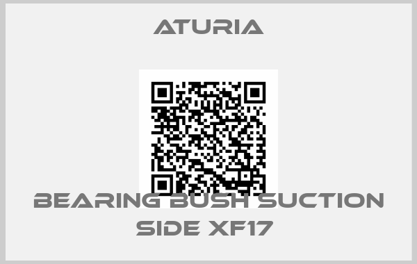 Aturia-BEARING BUSH SUCTION SIDE XF17 