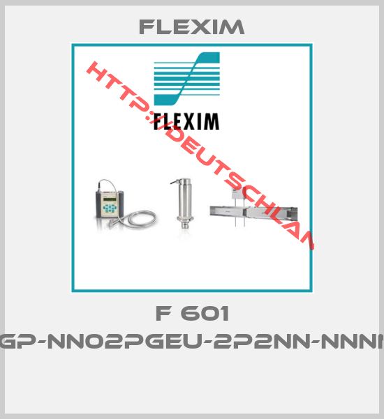 Flexim-F 601 (T6F-F601GP-NN02PGEU-2P2NN-NNNNN-DE/AK1) 