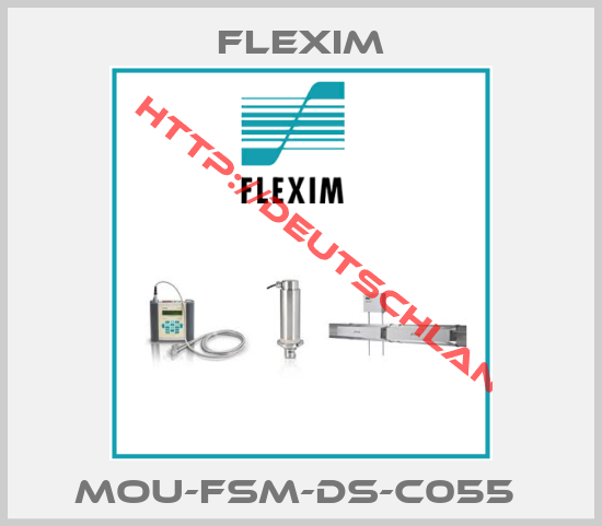 Flexim-MOU-FSM-DS-C055 