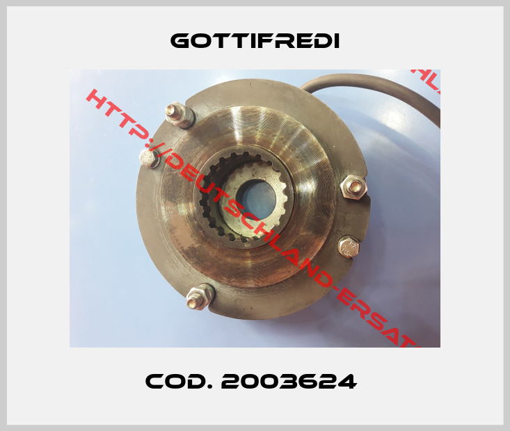 Gottifredi-Cod. 2003624 