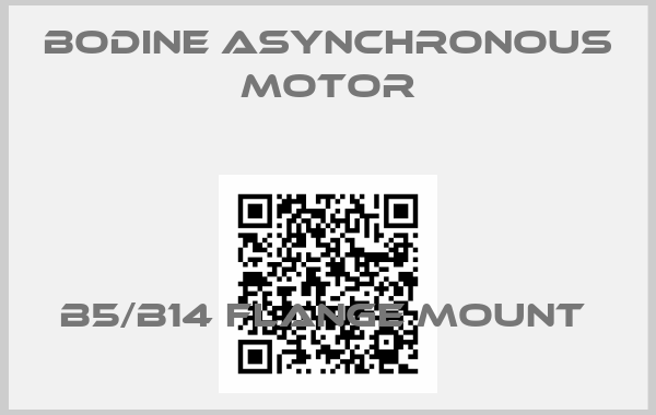 BODINE Asynchronous motor-B5/B14 flange mount 