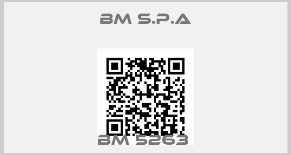 BM S.p.A-BM 5263 