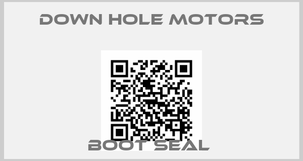 Down Hole Motors-BOOT SEAL 