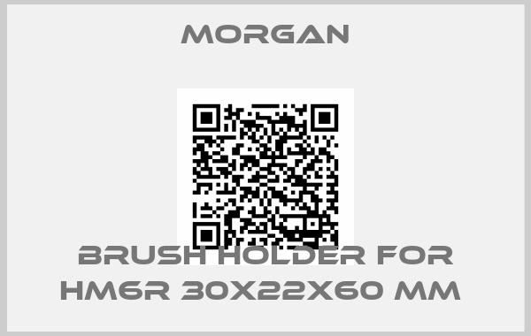 Morgan-BRUSH HOLDER FOR HM6R 30X22X60 MM 