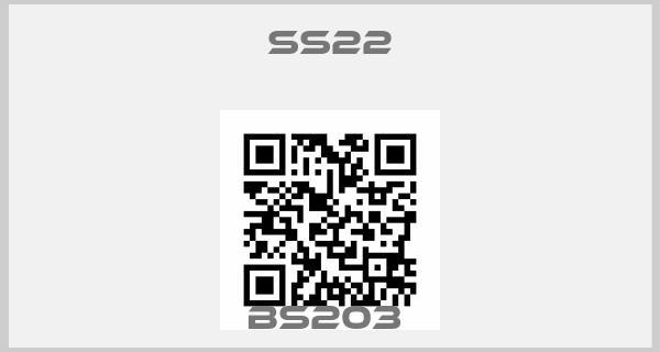 ss22-BS203 