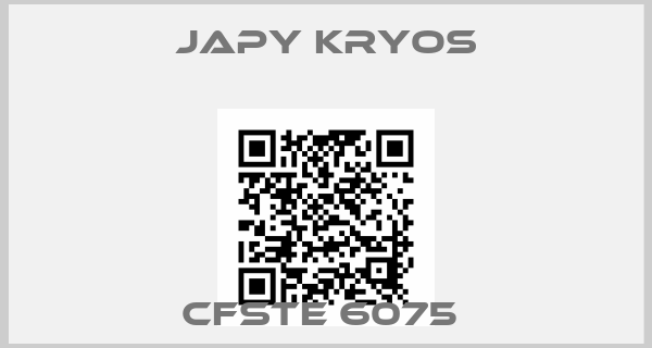 Japy Kryos-CFSTE 6075 