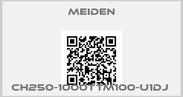 Meiden-CH250-1000TTM100-U1DJ 