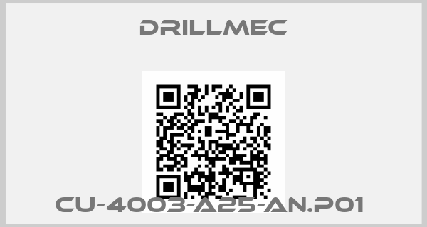 Drillmec-CU-4003-A25-AN.P01 