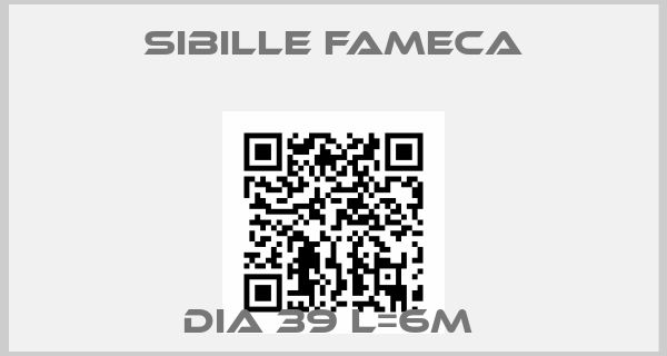 Sibille Fameca-DIA 39 L=6M 