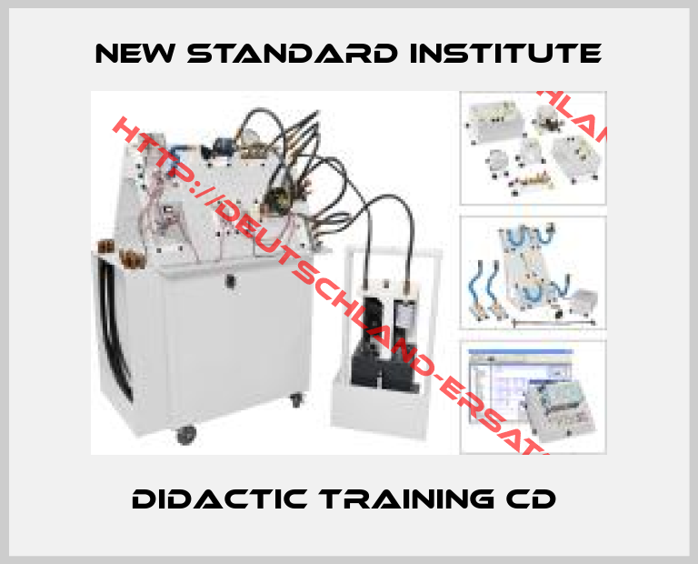 New Standard Institute-DIDACTIC TRAINING CD 