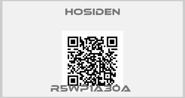 HOSIDEN-R5WP1A30A 