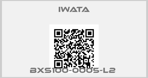 Iwata-BXS100-0005-L2 