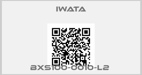 Iwata-BXS100-0010-L2 
