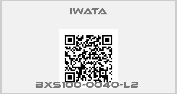 Iwata-BXS100-0040-L2 
