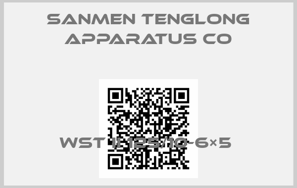 SANMEN TENGLONG APPARATUS CO-WST II 125/10-6×5 