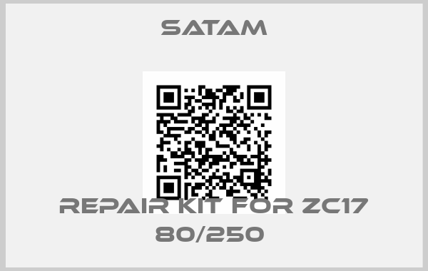 Satam-Repair kit for ZC17 80/250 