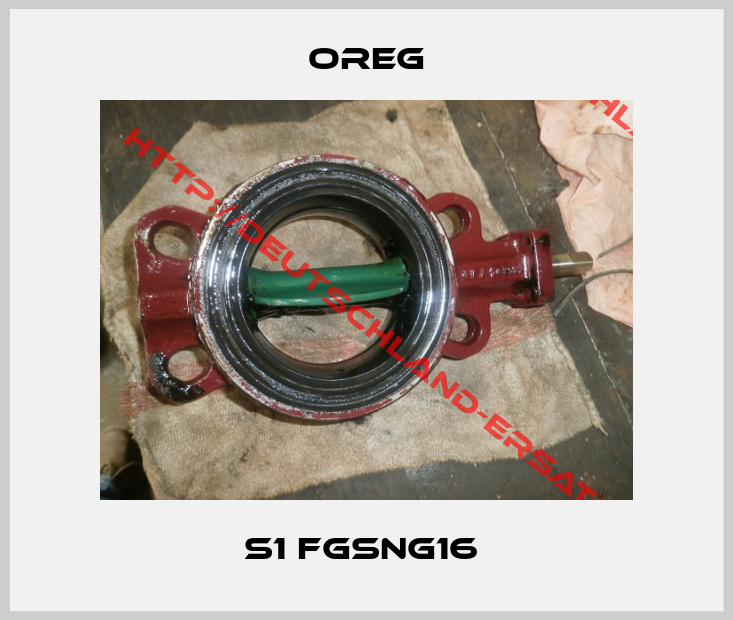 Oreg-S1 FGSNG16 