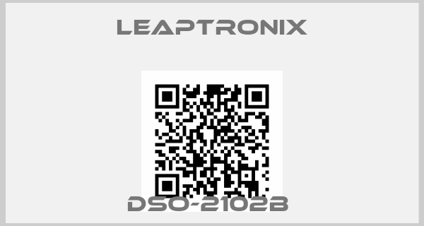 Leaptronix-DSO-2102B 