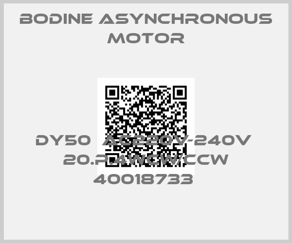 BODINE Asynchronous motor-DY50  AC220V-240V  20.P.4WCW/CCW 40018733 