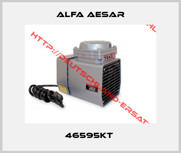 ALFA AESAR-46595KT 