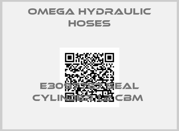 Omega Hydraulic Hoses-E3097757 SEAL CYLINDER 1,2 CBM 