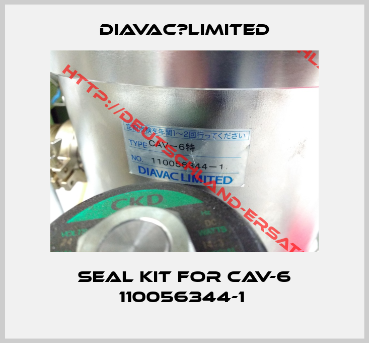 DIAVAC　LIMITED-Seal kit for CAV-6 110056344-1 