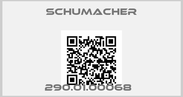 Schumacher-290.01.00068  