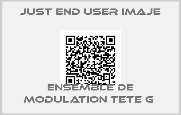 just end user Imaje-ENSEMBLE DE MODULATION TETE G 