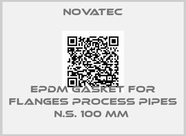Novatec-EPDM GASKET FOR FLANGES PROCESS PIPES N.S. 100 MM 