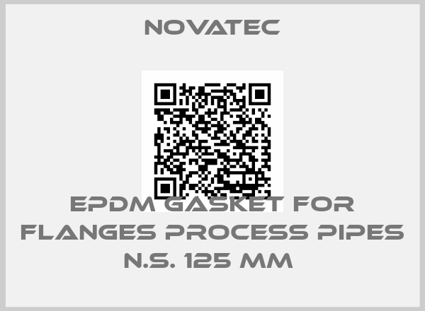 Novatec-EPDM GASKET FOR FLANGES PROCESS PIPES N.S. 125 MM 