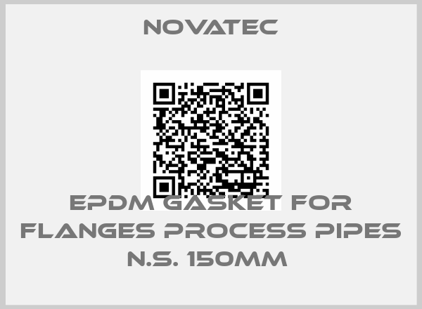 Novatec-EPDM GASKET FOR FLANGES PROCESS PIPES N.S. 150MM 