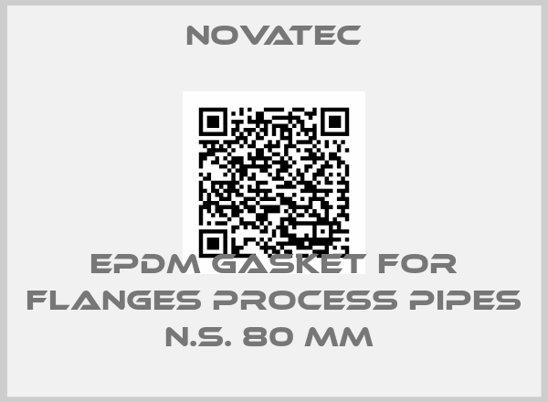 Novatec-EPDM GASKET FOR FLANGES PROCESS PIPES N.S. 80 MM 