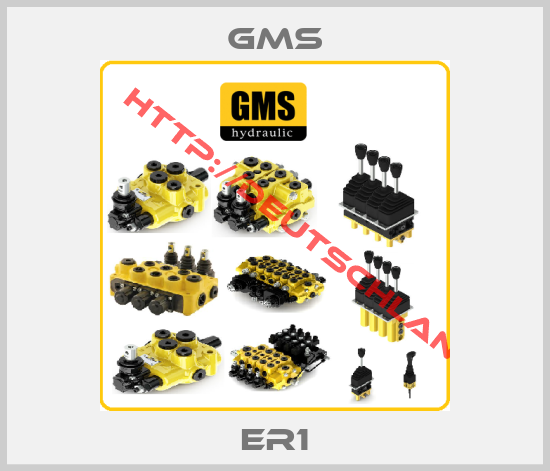 Gms-ER1