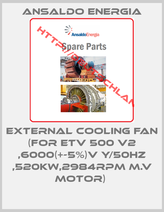 ANSALDO ENERGIA-EXTERNAL COOLING FAN (FOR ETV 500 V2 ,6000(+-5%)V Y/50HZ ,520KW,2984RPM M.V MOTOR) 