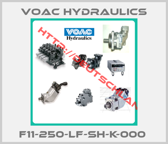 Voac Hydraulics-F11-250-LF-SH-K-000 