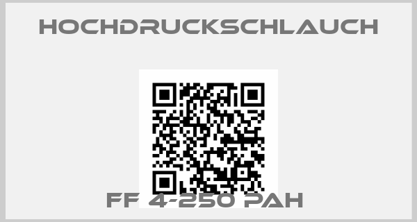 Hochdruckschlauch-FF 4-250 PAH 