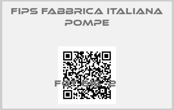 Fips Fabbrica Italiana Pompe-FGT 615 -2 