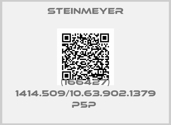 Steinmeyer-(166427) 1414.509/10.63.902.1379 P5P 