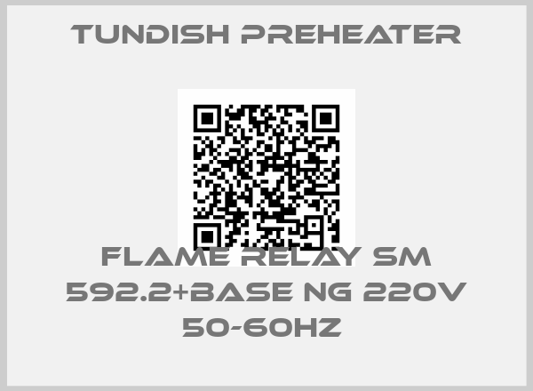 Tundish Preheater-FLAME RELAY SM 592.2+BASE NG 220V 50-60HZ 