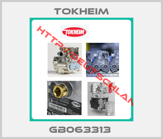 Tokheim-GB063313 