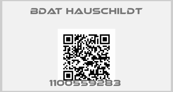 Bdat Hauschildt-1100559283 