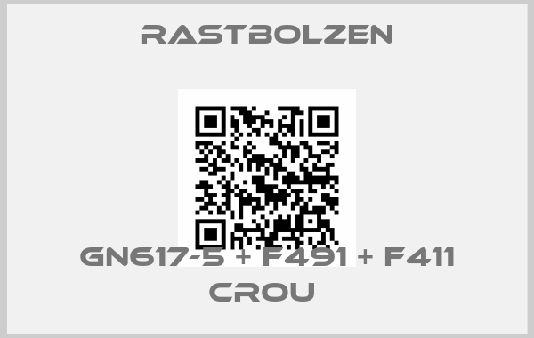 Rastbolzen-GN617-5 + F491 + F411 CROU 