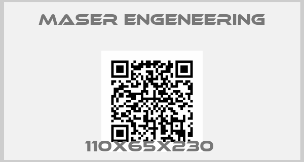 Maser Engeneering-110X65X230 