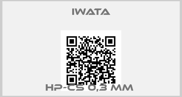Iwata-HP-CS 0,3 MM 